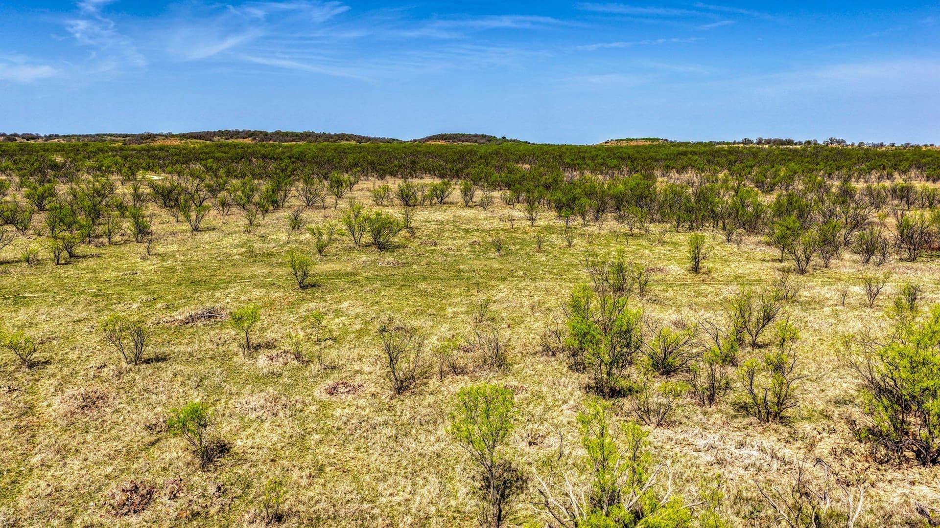 133.25 acres in Jack County - photo 25