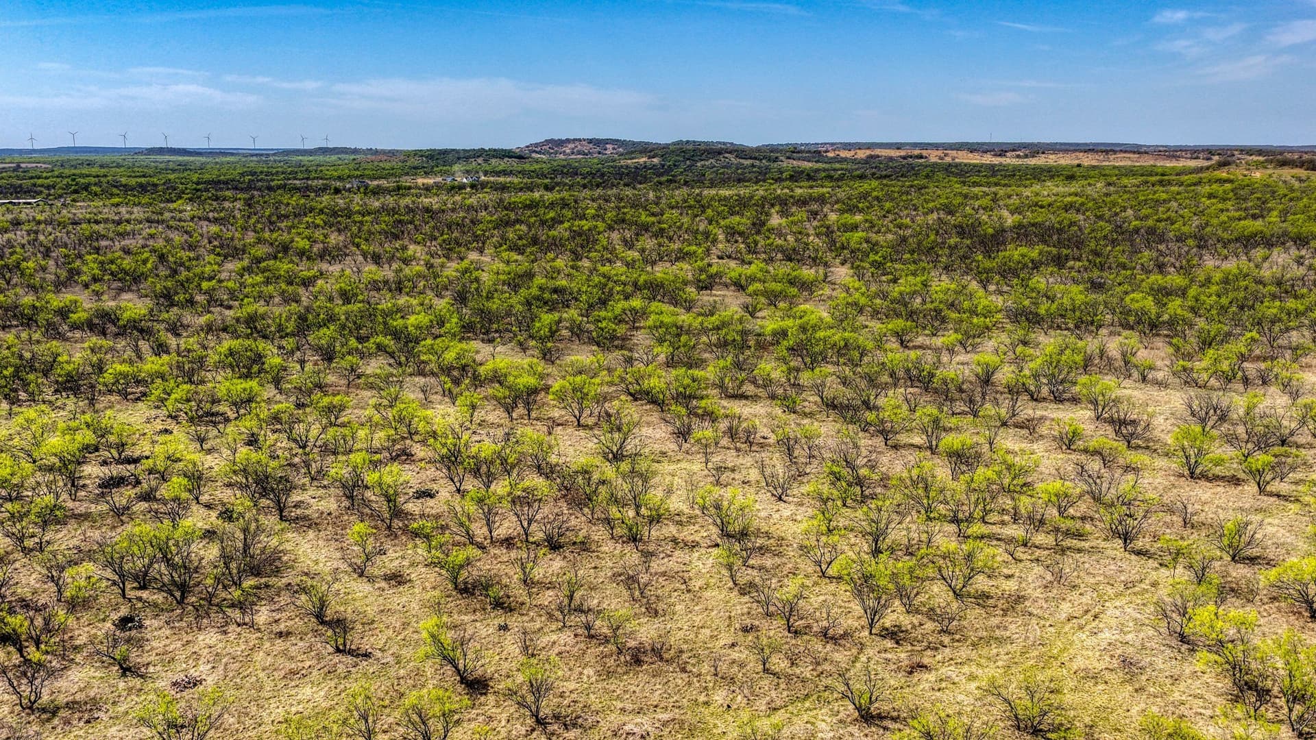 133.25 acres in Jack County - photo 16