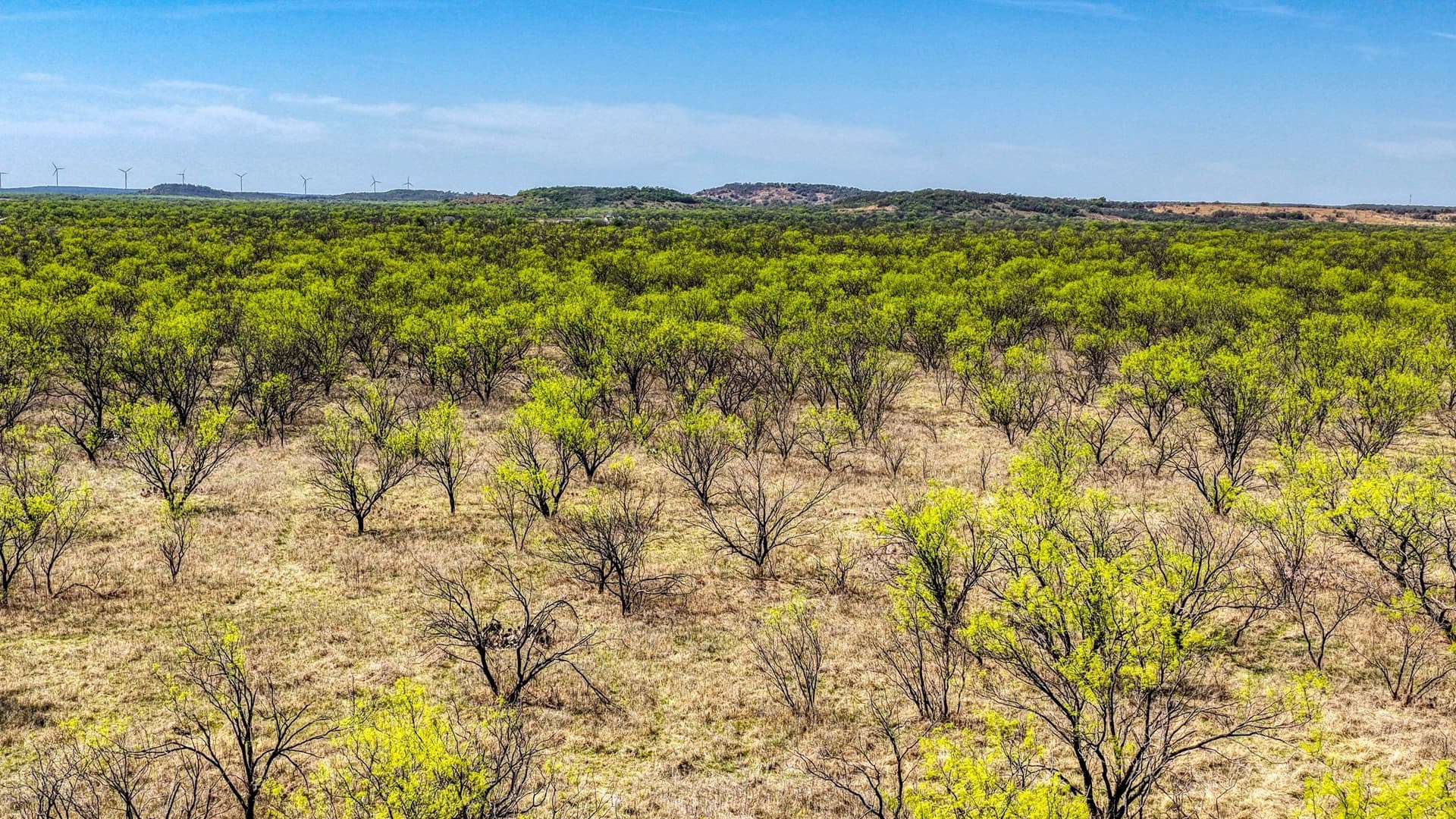 133.25 acres in Jack County - photo 15