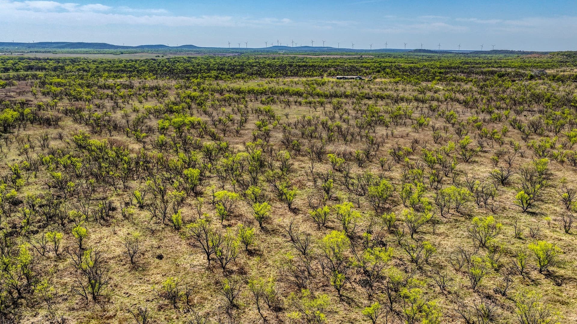 133.25 acres in Jack County - photo 12