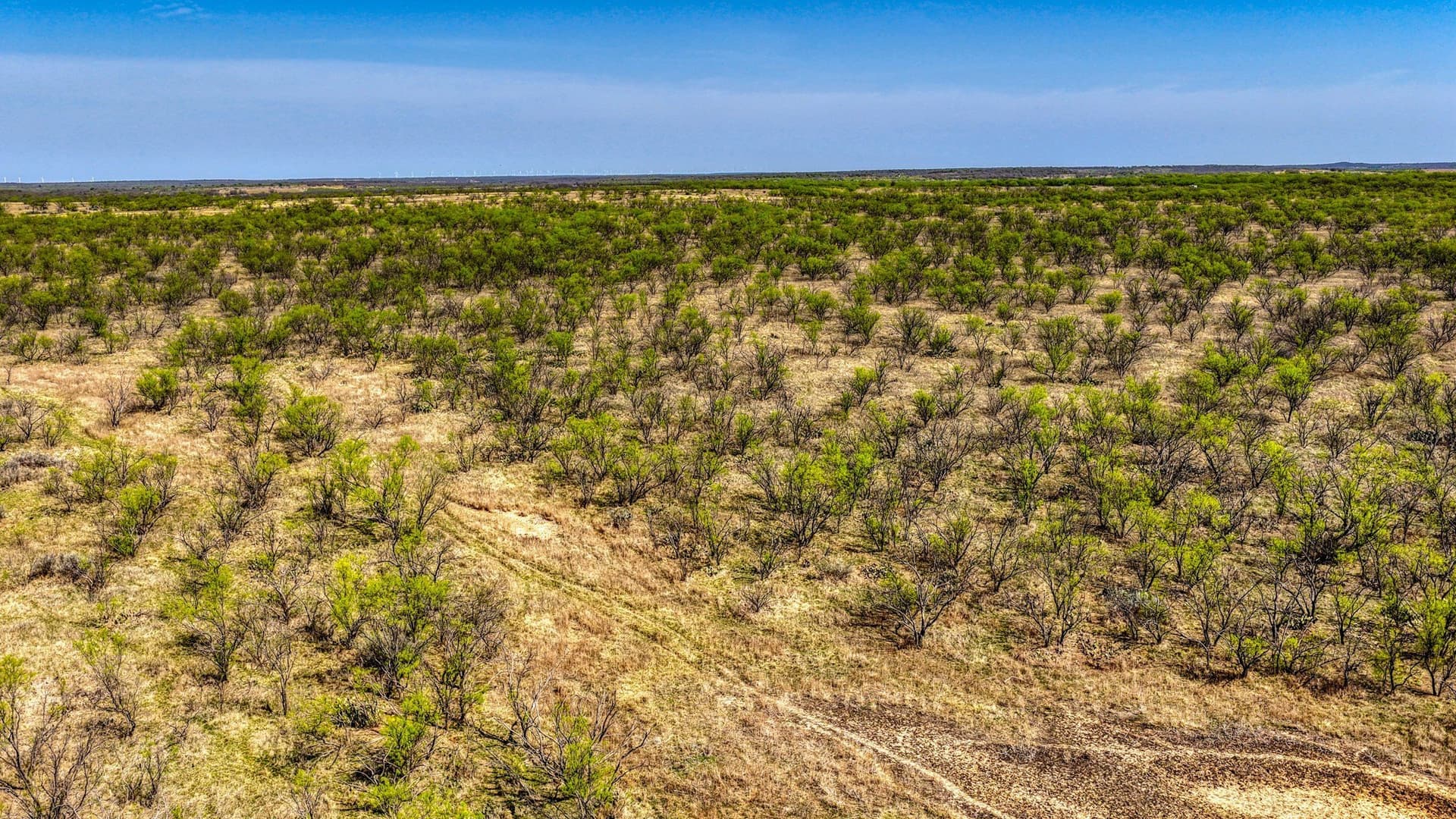 133.25 acres in Jack County - photo 7