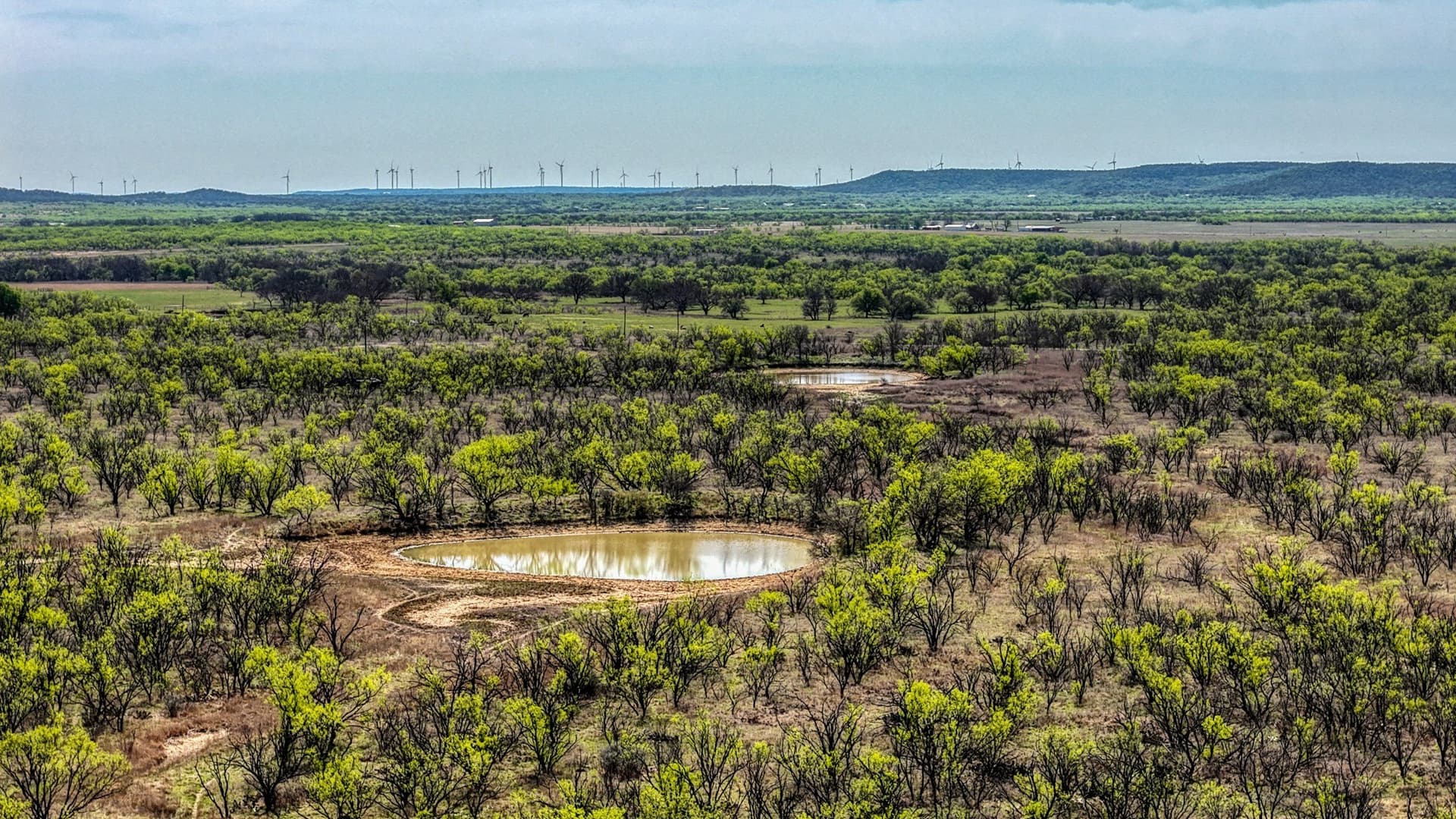 133.25 acres in Jack County - photo 9