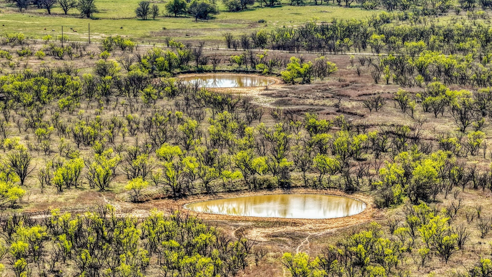 133.25 acres in Jack County - photo 13
