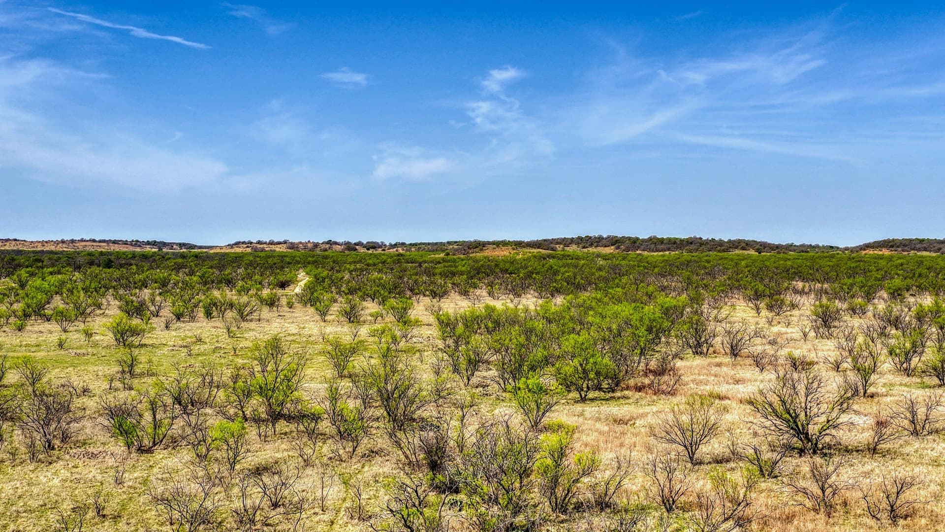 133.25 acres in Jack County - photo 22
