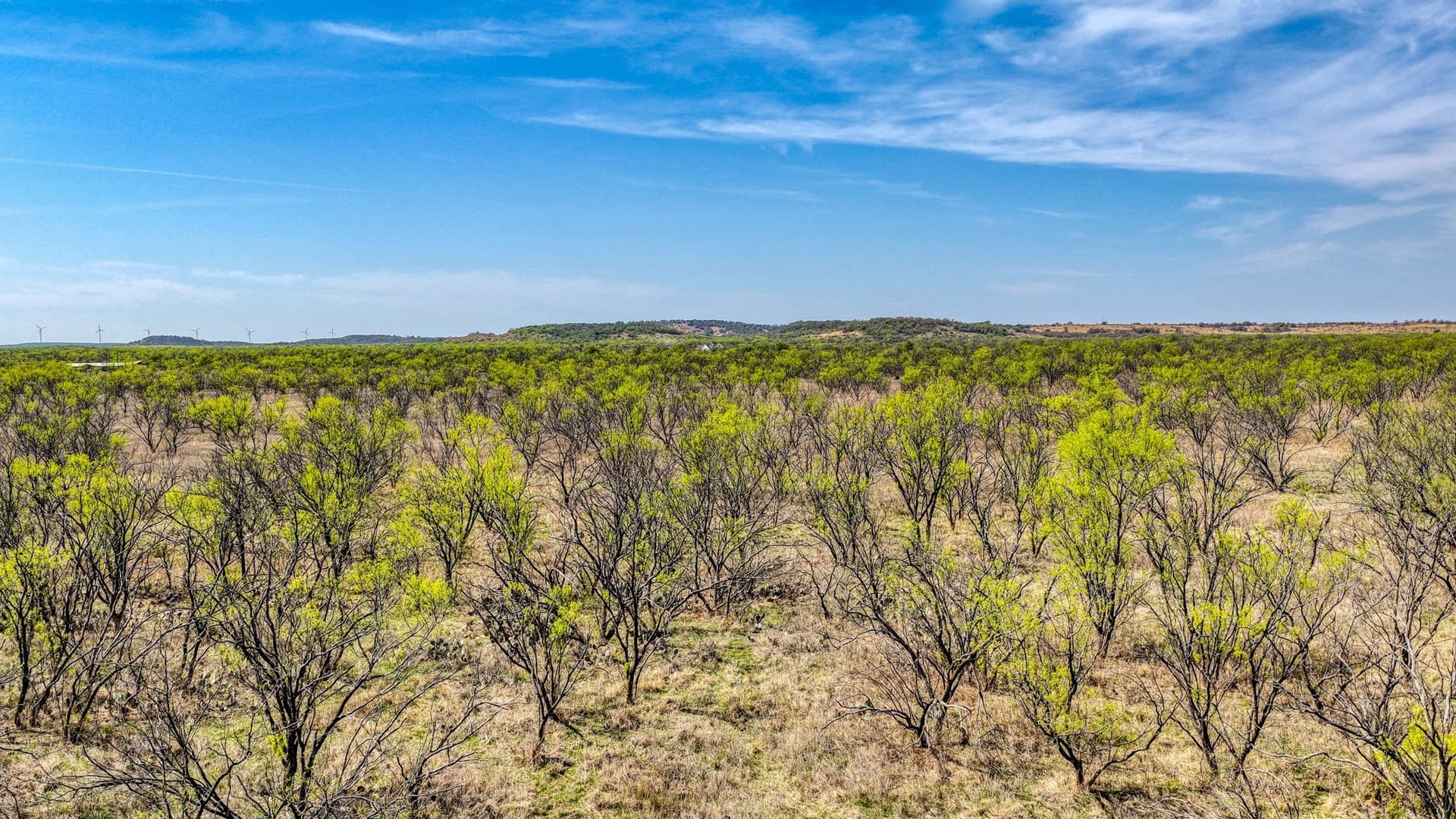 133.25 acres in Jack County - photo 20