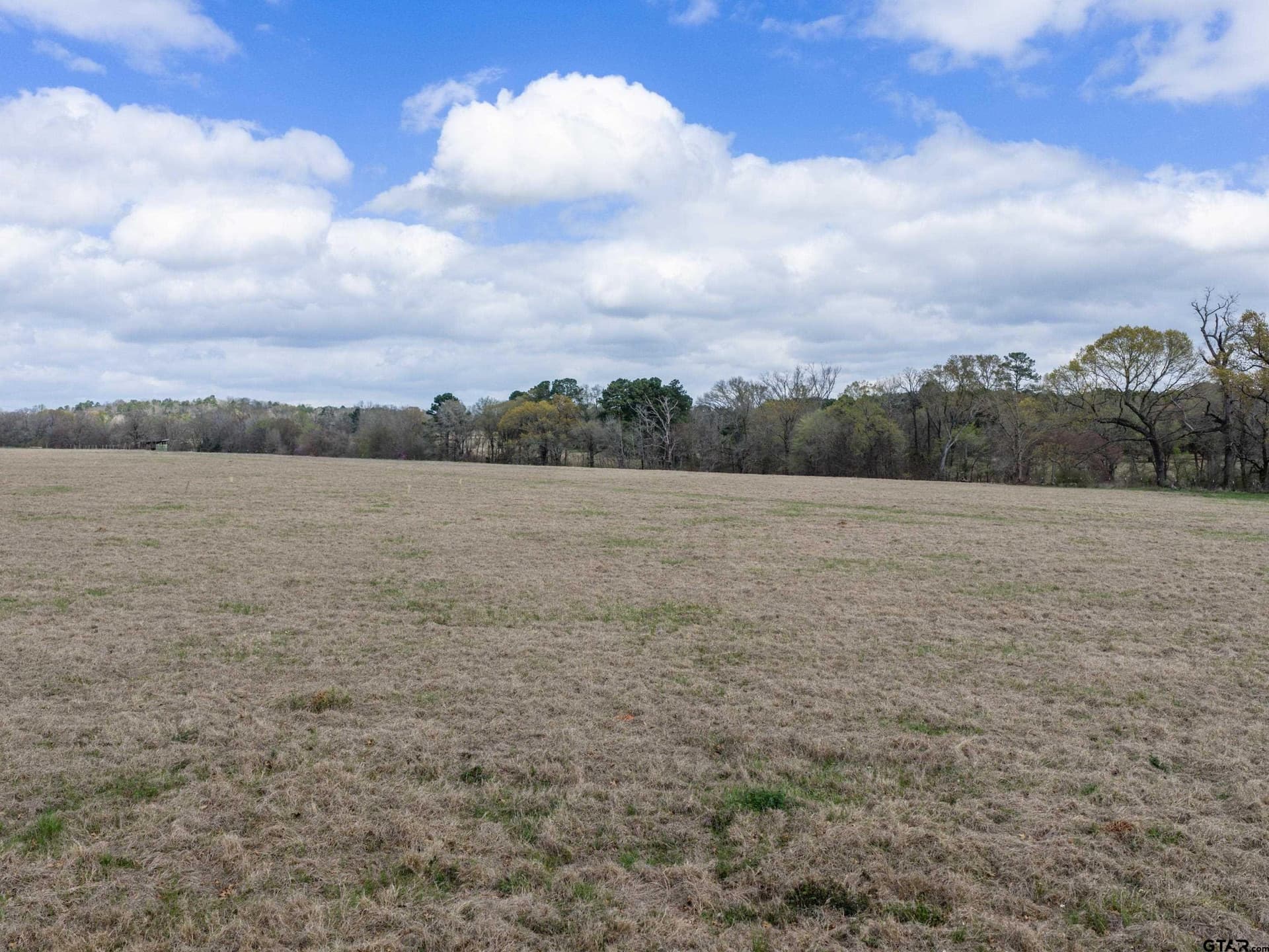 8.02 acres in Anderson County - photo 32
