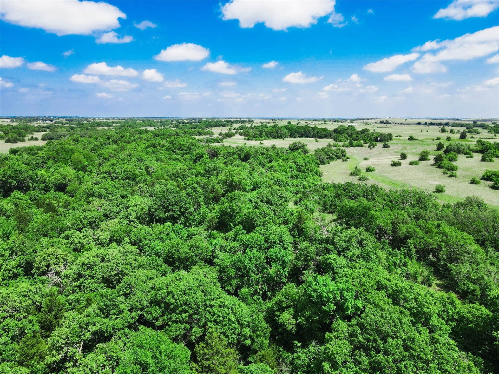180.7 acres in Montague County - photo 20
