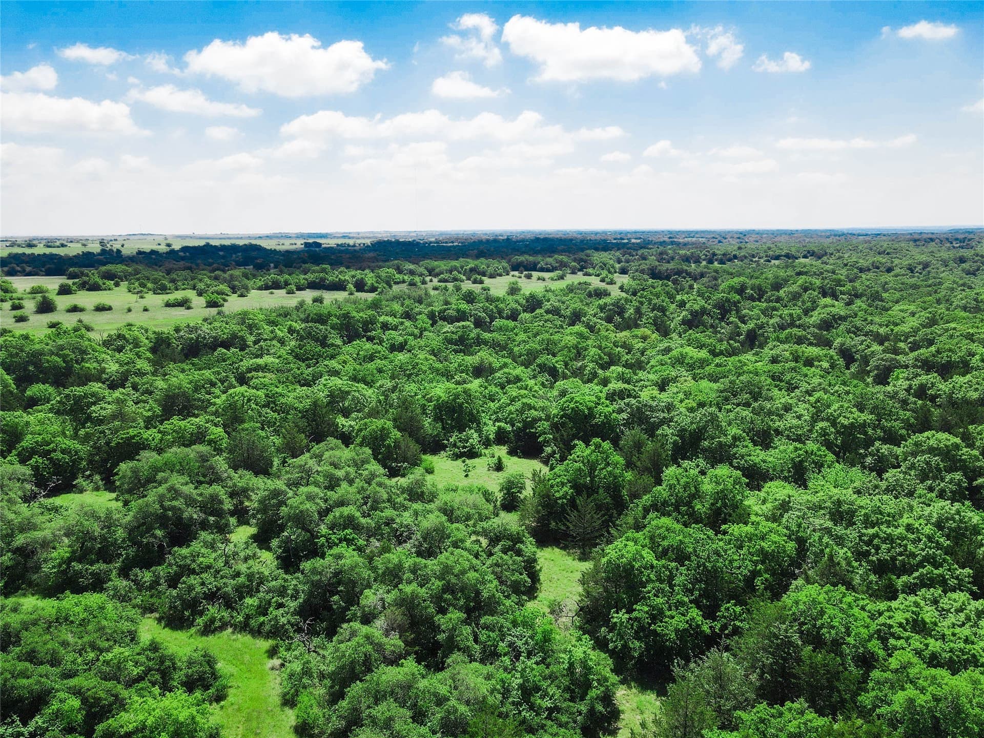 180.7 acres in Montague County - photo 19