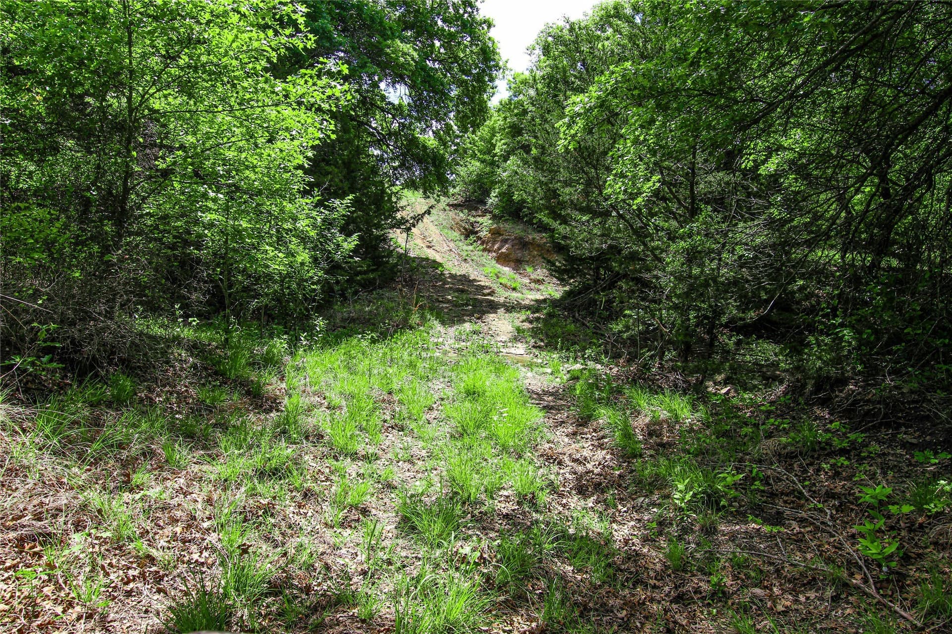 180.7 acres in Montague County - photo 12