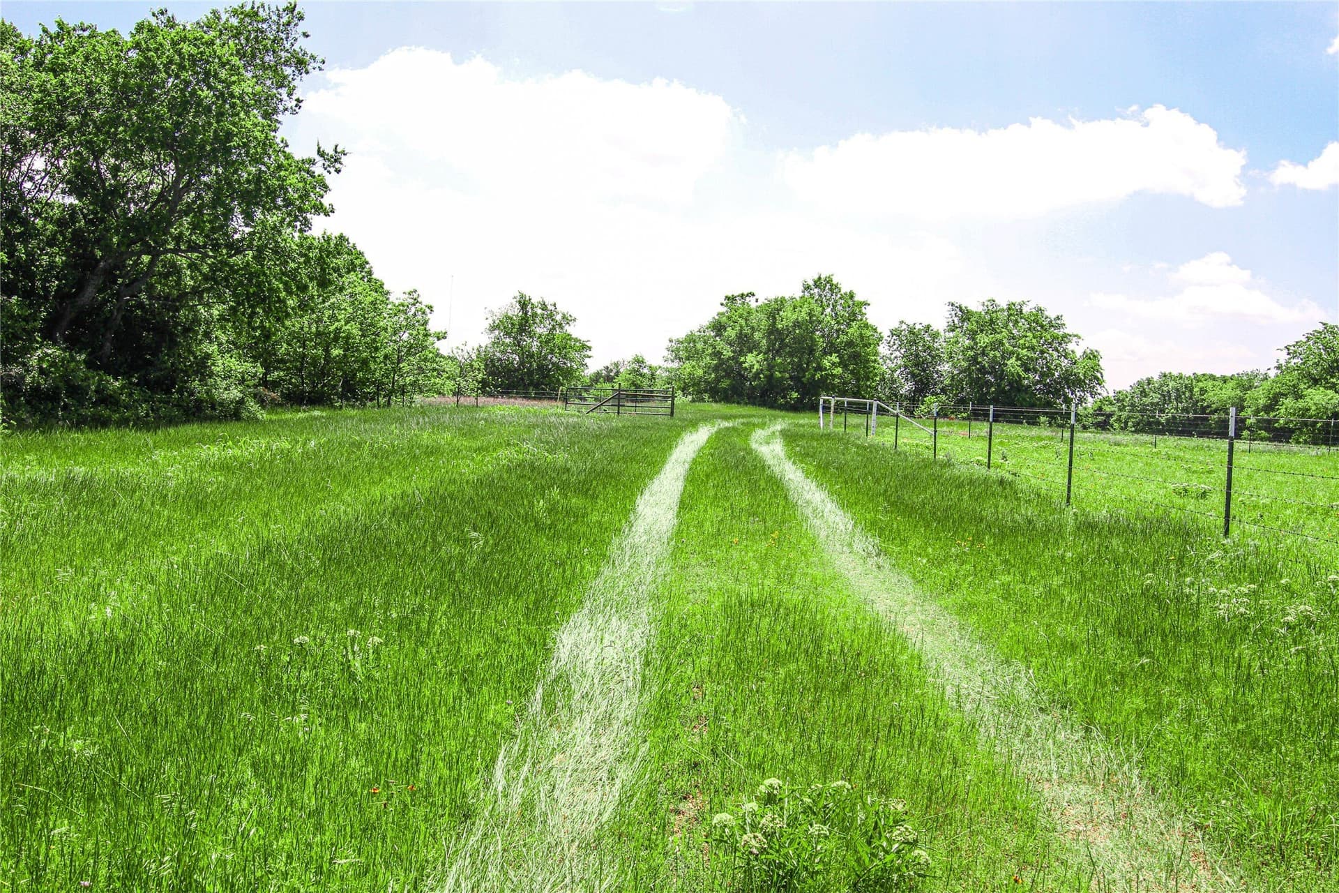 180.7 acres in Montague County - photo 25