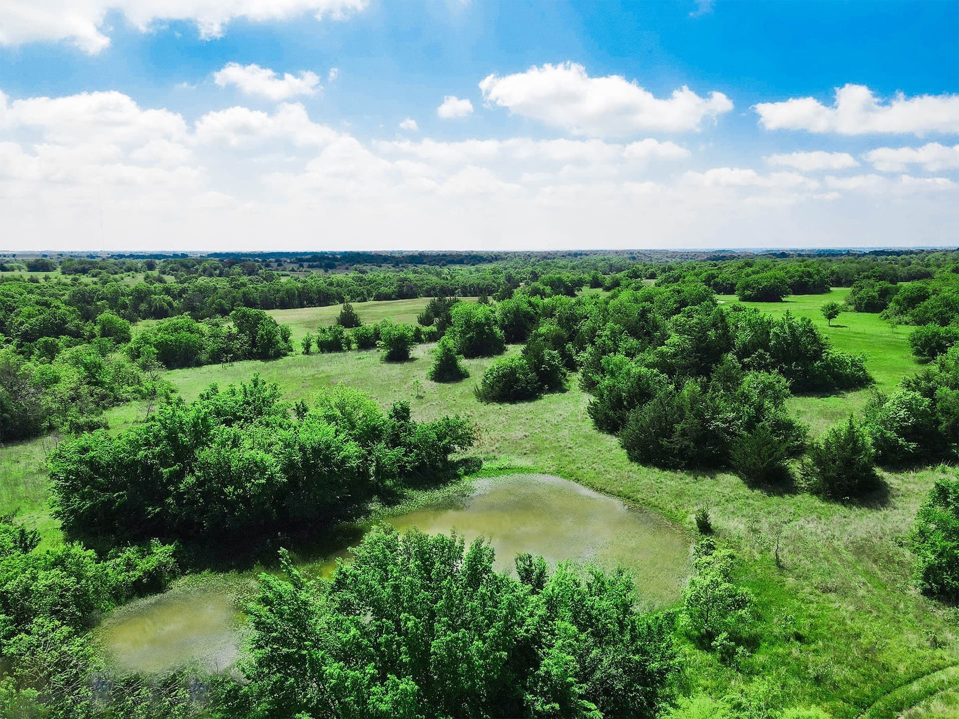 180.7 acres in Montague County - photo 18