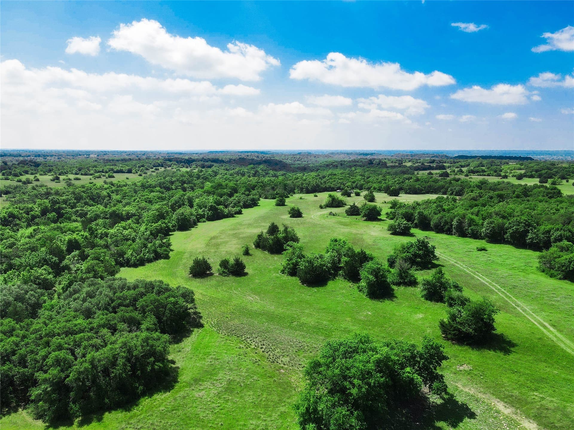180.7 acres in Montague County - photo 2