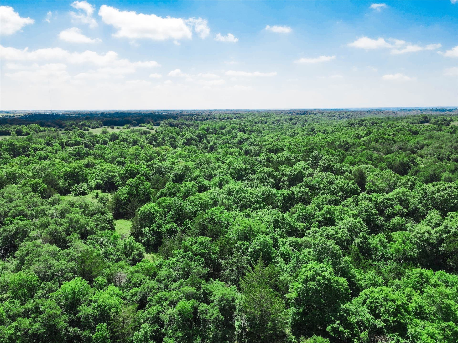 180.7 acres in Montague County - photo 4