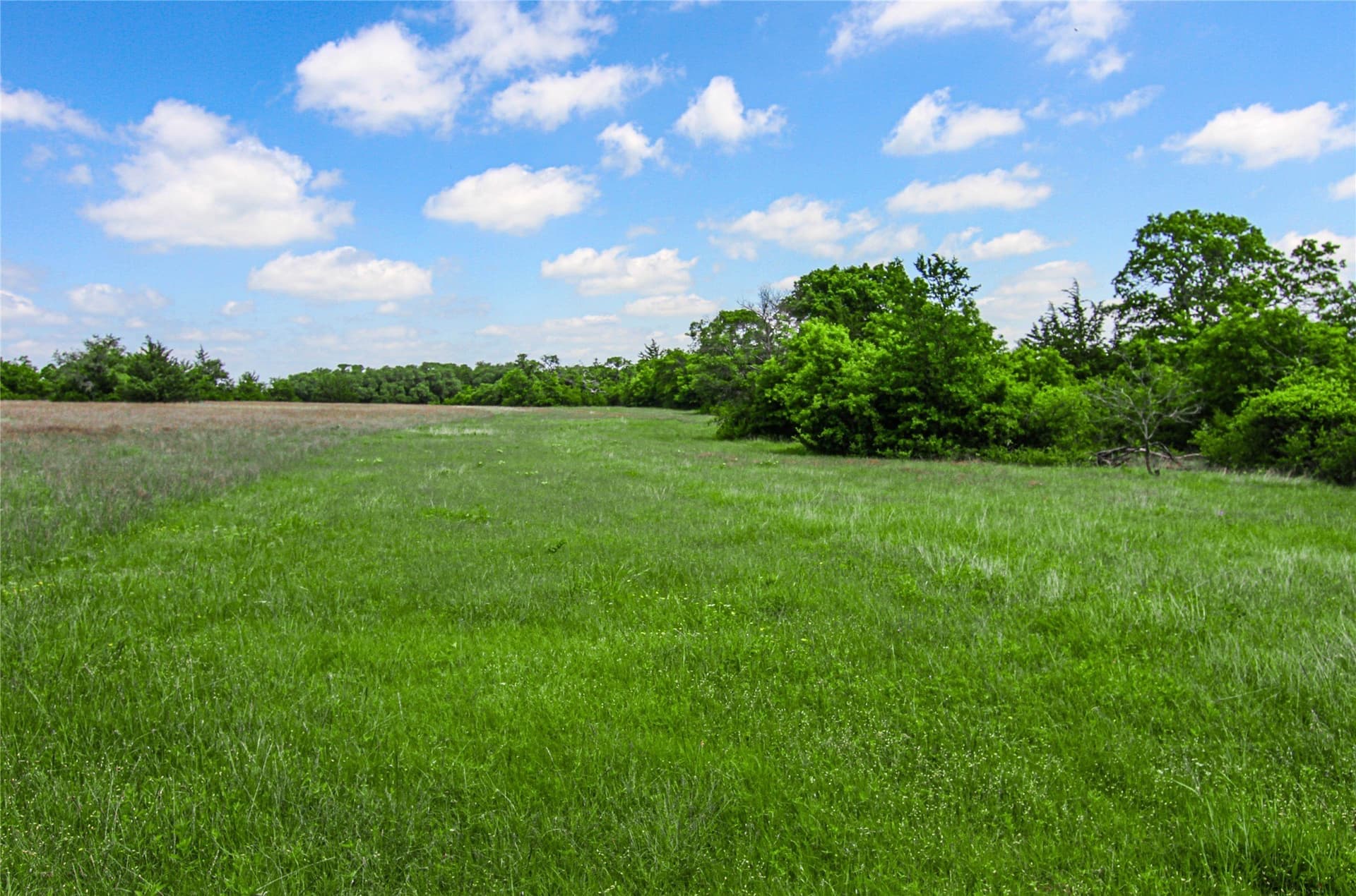 180.7 acres in Montague County - photo 23