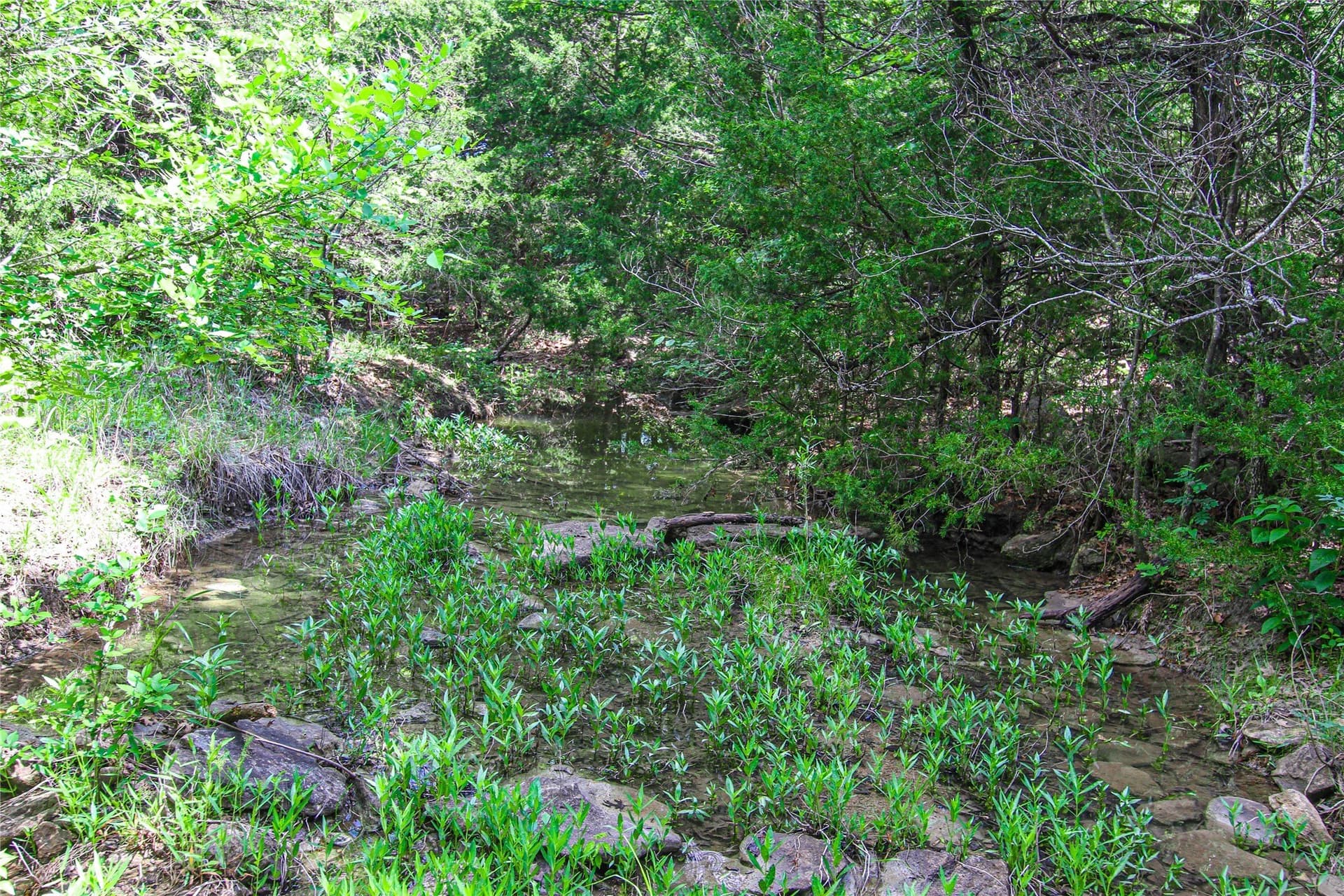 180.7 acres in Montague County - photo 13
