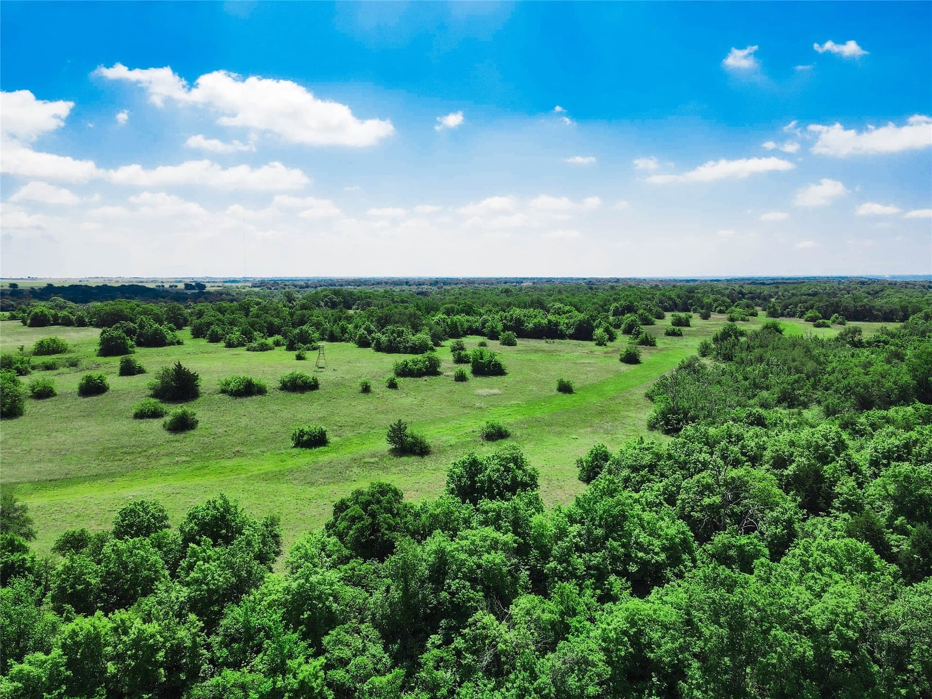 180.7 acres in Montague County - photo 5