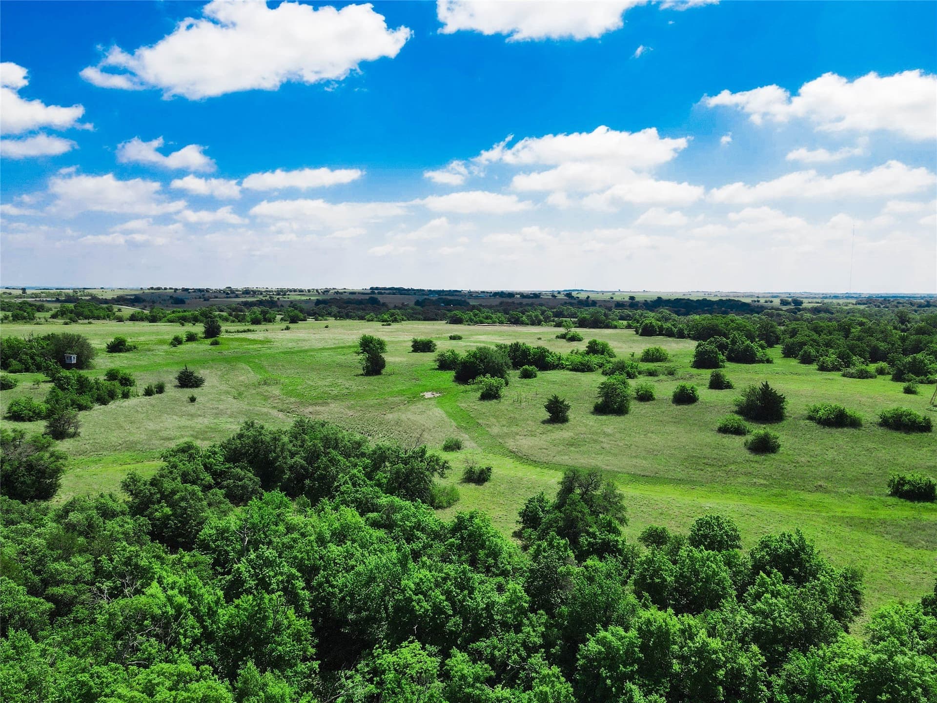180.7 acres in Montague County - photo 6