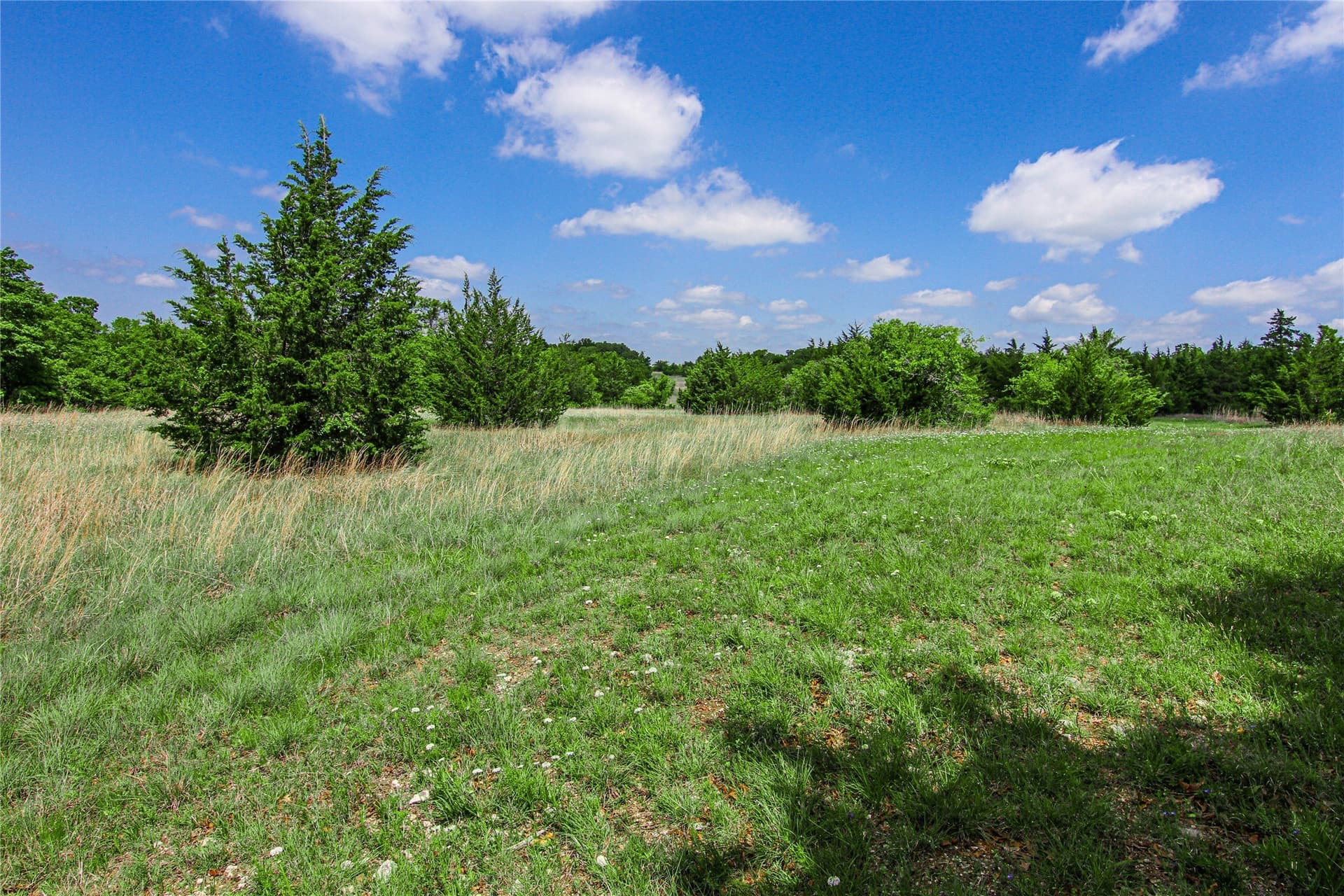 180.7 acres in Montague County - photo 14