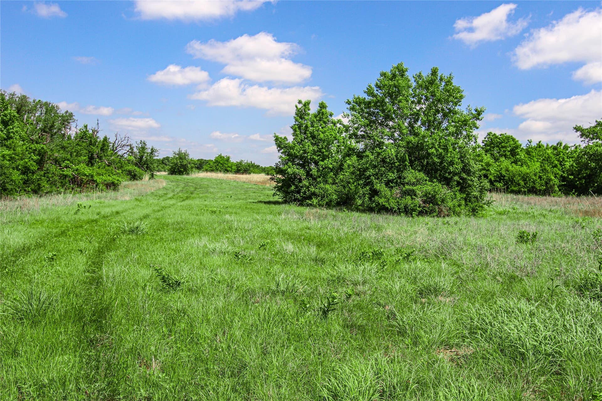 180.7 acres in Montague County - photo 11