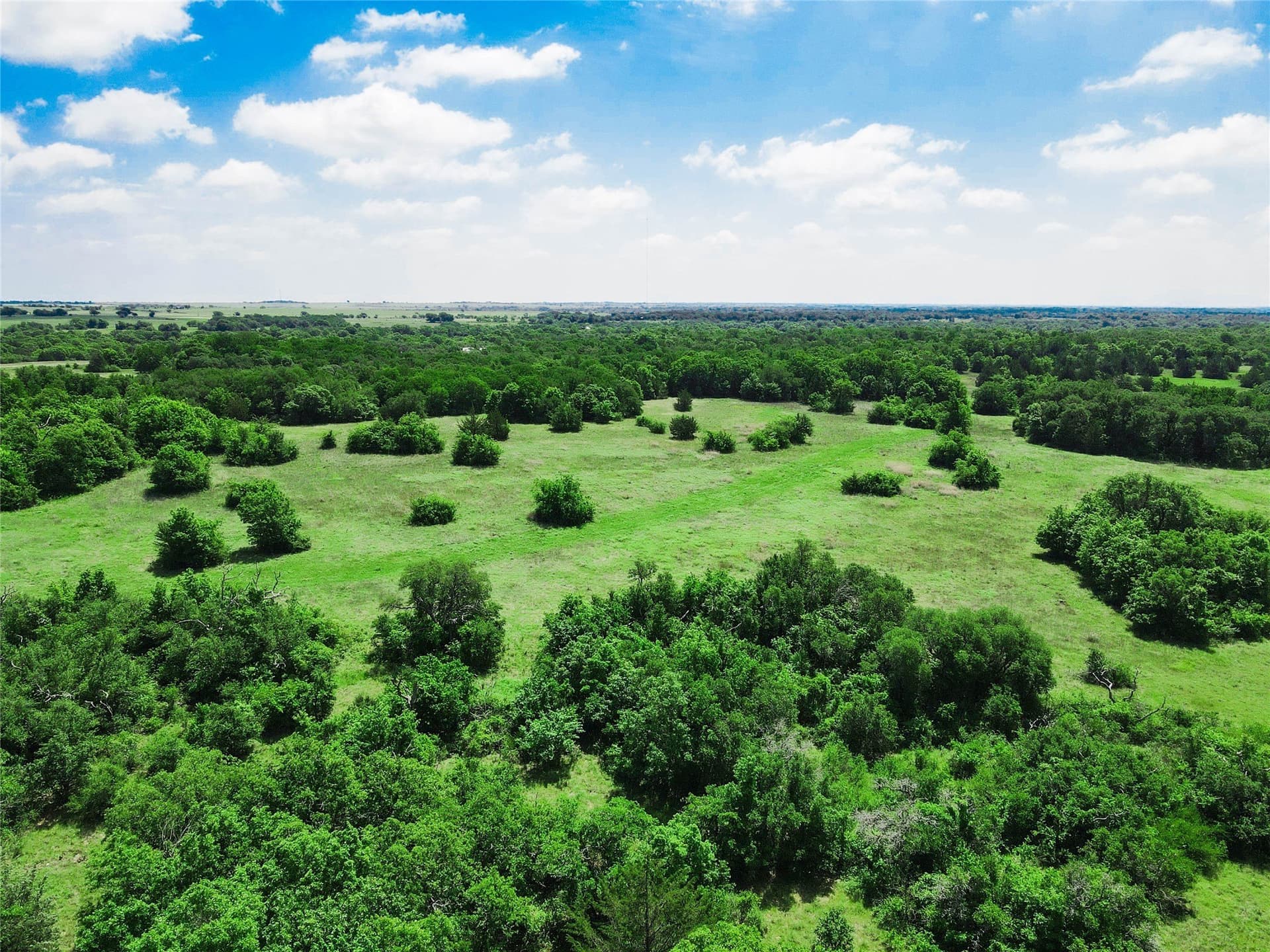 180.7 acres in Montague County - photo 21