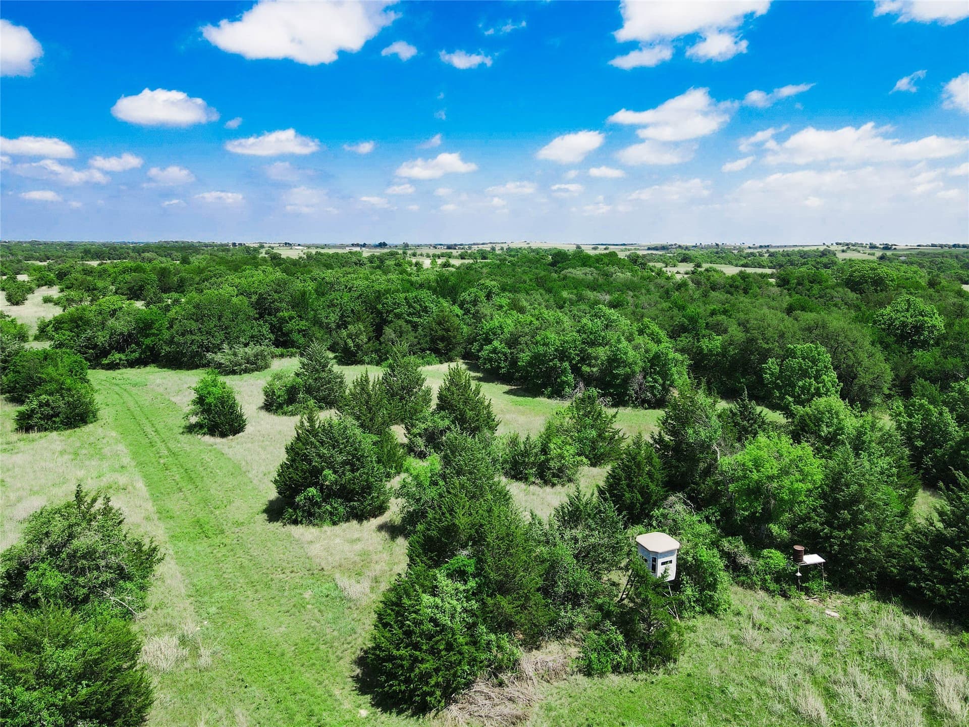 180.7 acres in Montague County - photo 7