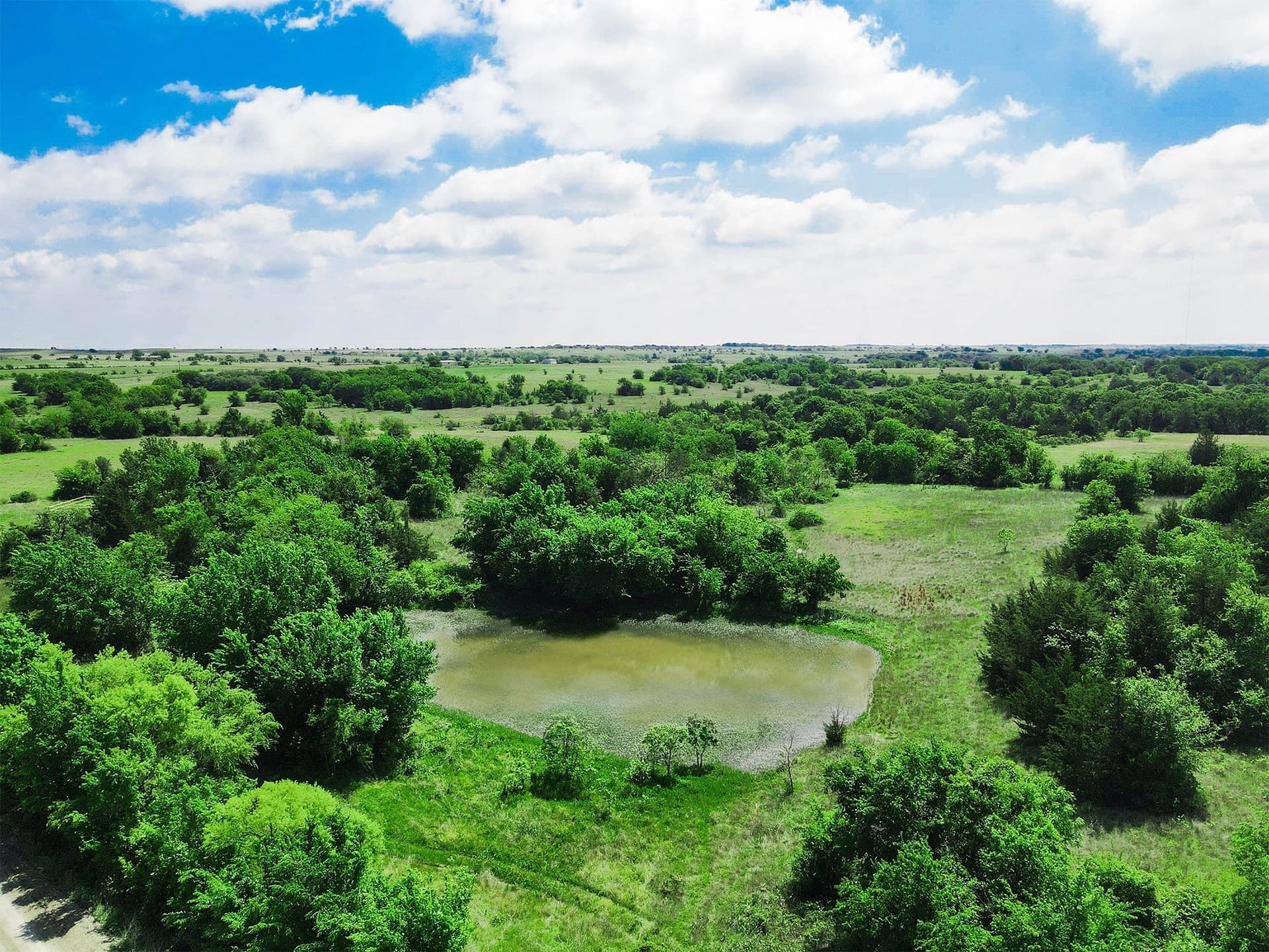 180.7 acres in Montague County - photo 17