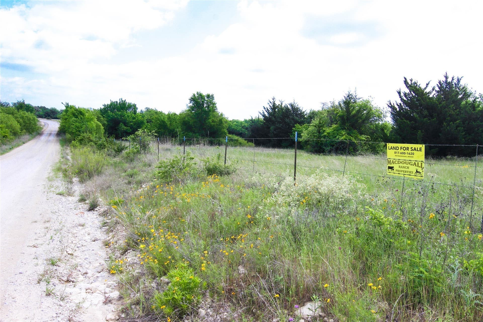 180.7 acres in Montague County - photo 26