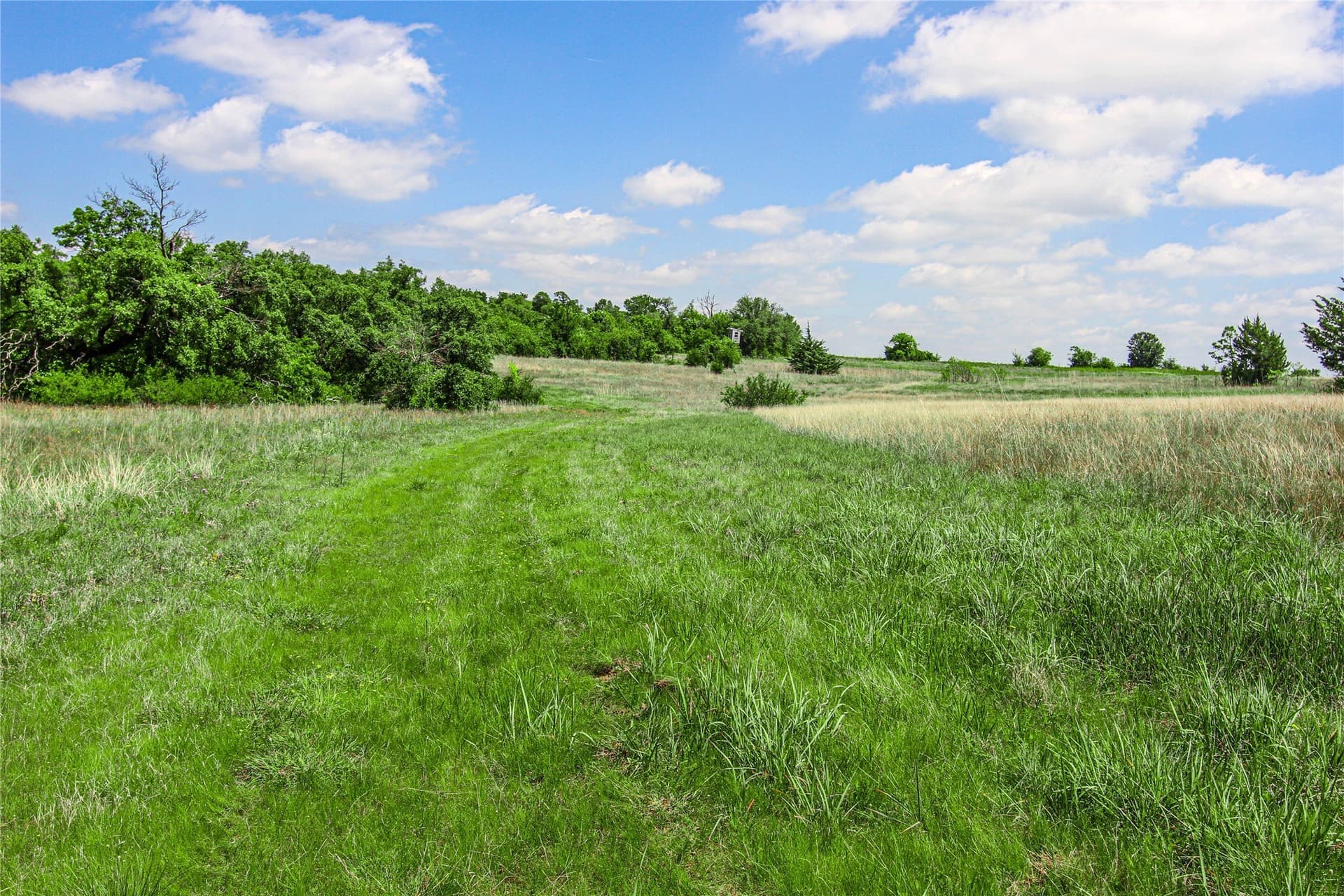 180.7 acres in Montague County - photo 9