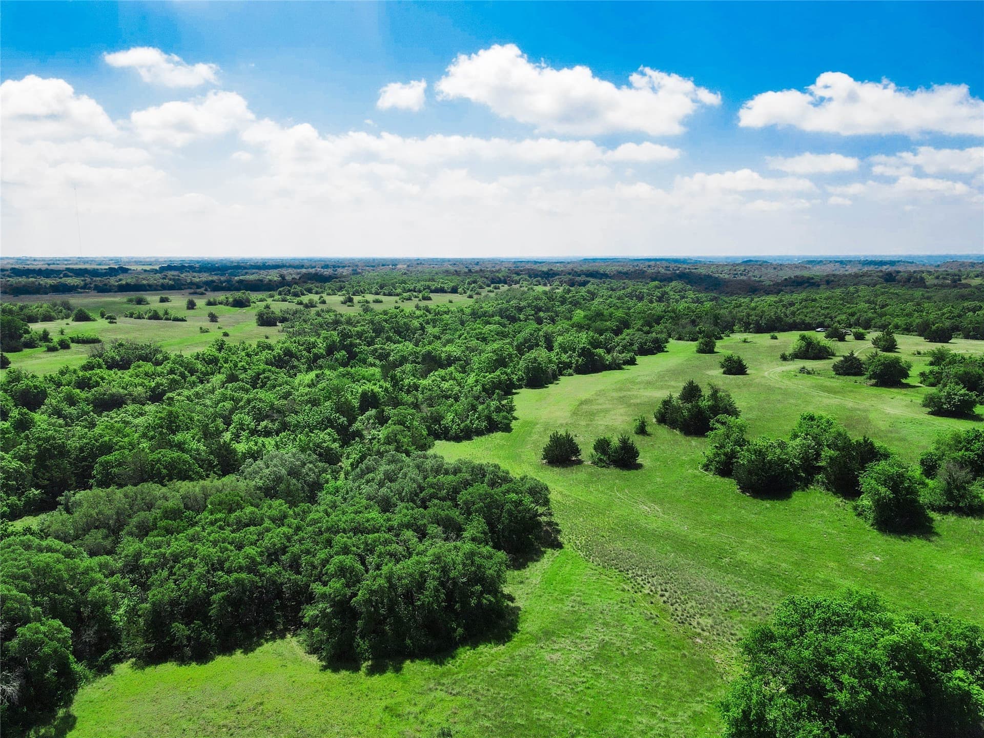 180.7 acres in Montague County - photo 15