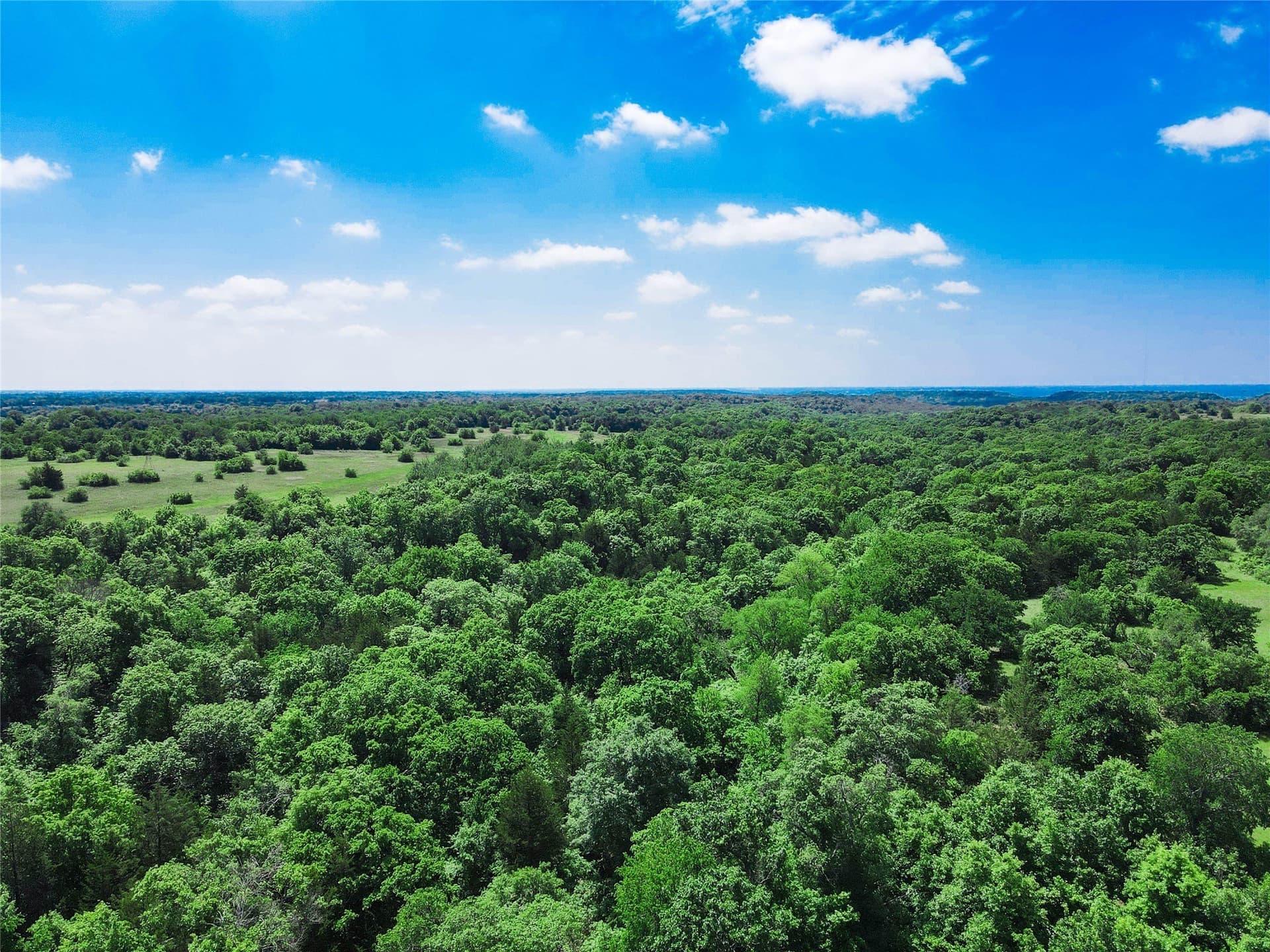 180.7 acres in Montague County - photo 3