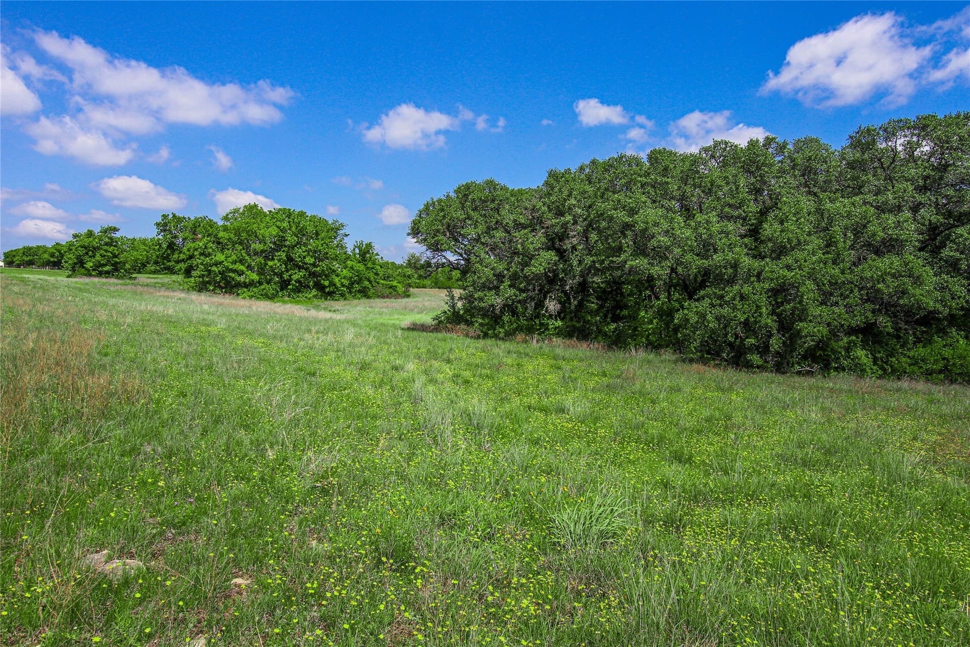 180.7 acres in Montague County - photo 10