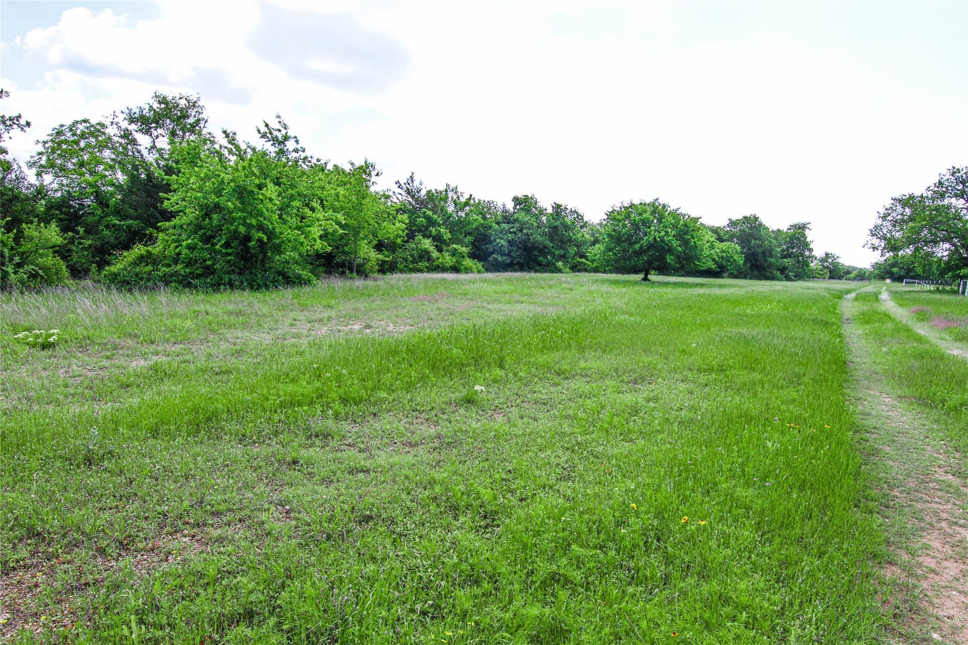 180.7 acres in Montague County - photo 24