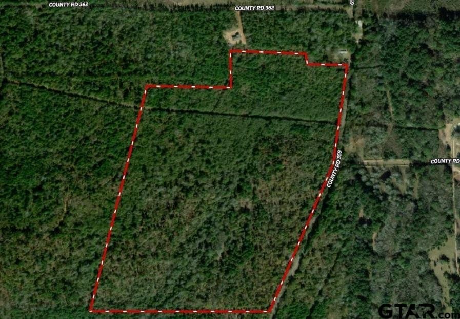 85 acres in Smith County gallery image 2