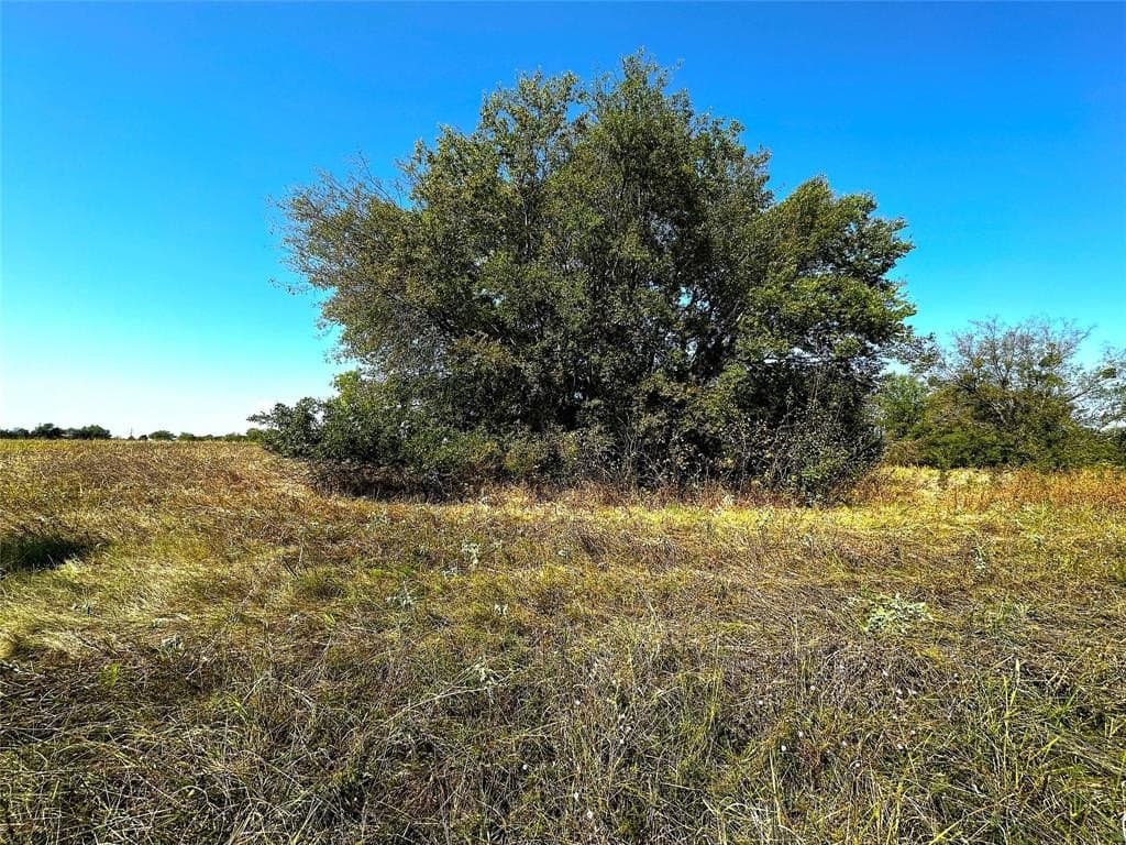 0.23 acres in Rains County