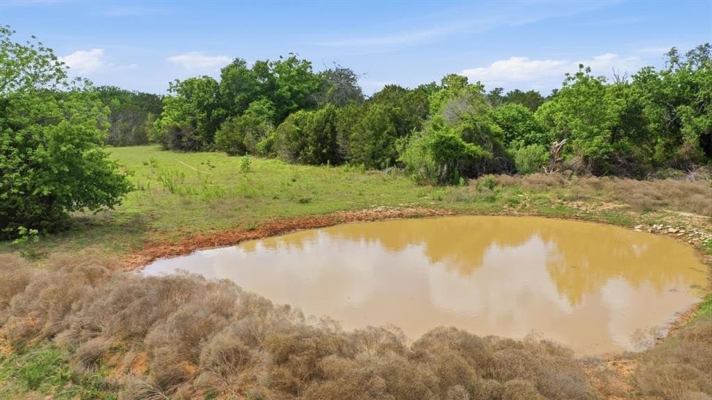 12 acres in Erath County gallery image 4