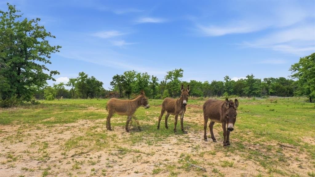 12 acres in Erath County featured view
