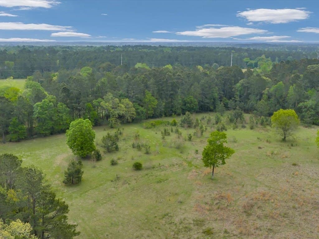 3.05 acres in Texas County gallery image 3