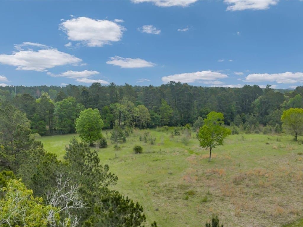 3.05 acres in Texas County gallery image 2