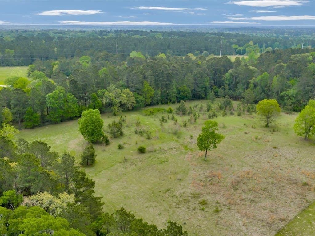 3.05 acres in Texas County gallery image 4