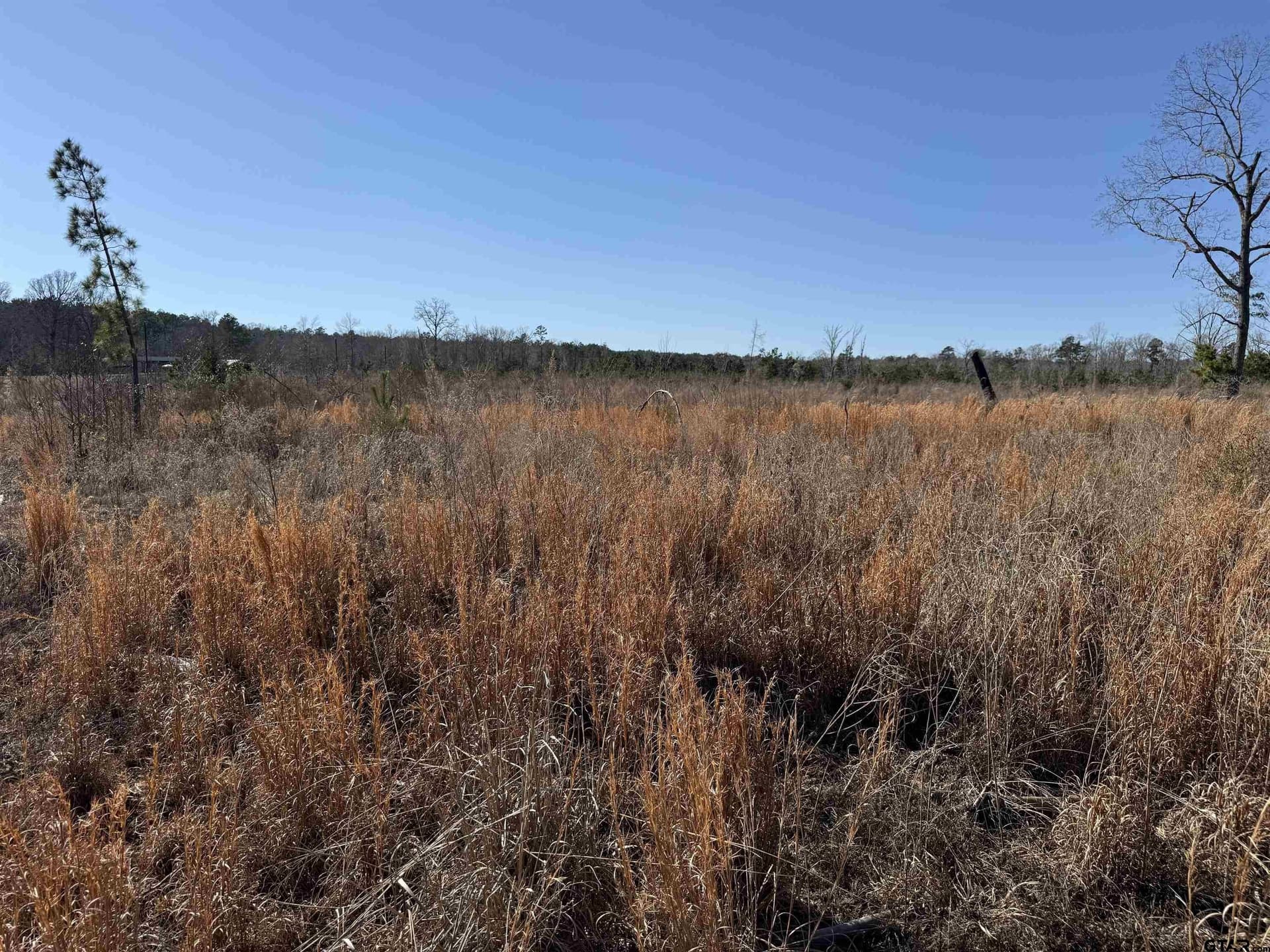 10 acres in Cherokee County - photo 17