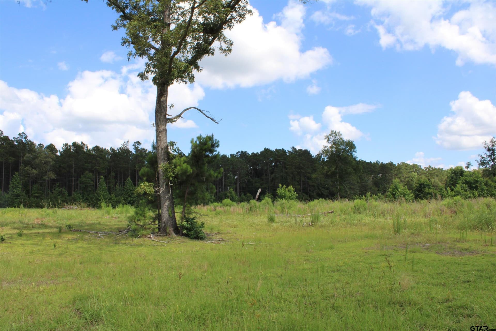 10 acres in Cherokee County gallery image 2