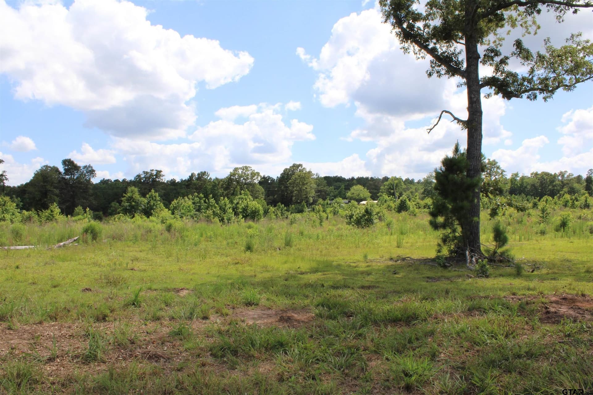 10 acres in Cherokee County featured view