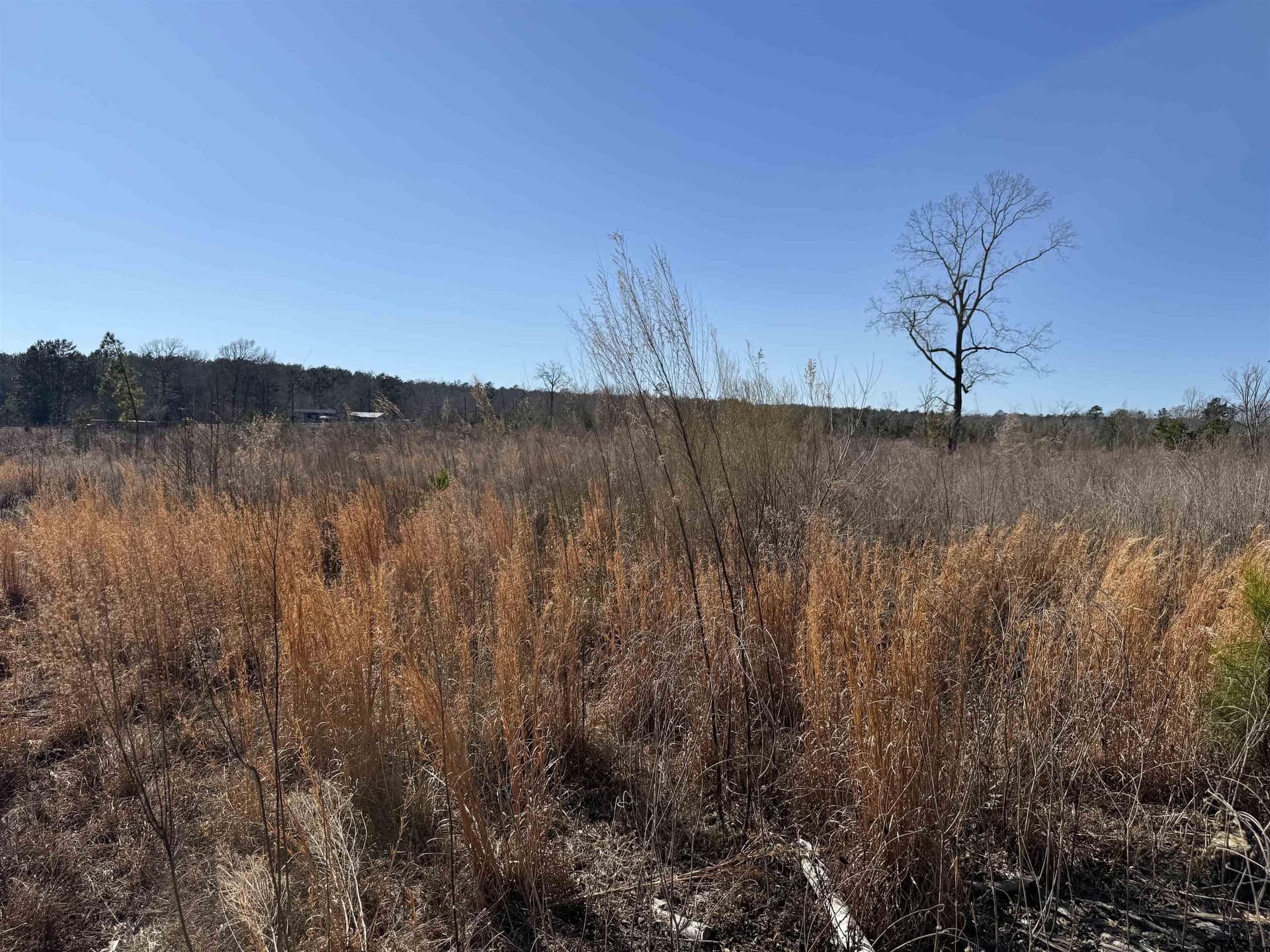10 acres in Cherokee County - photo 16