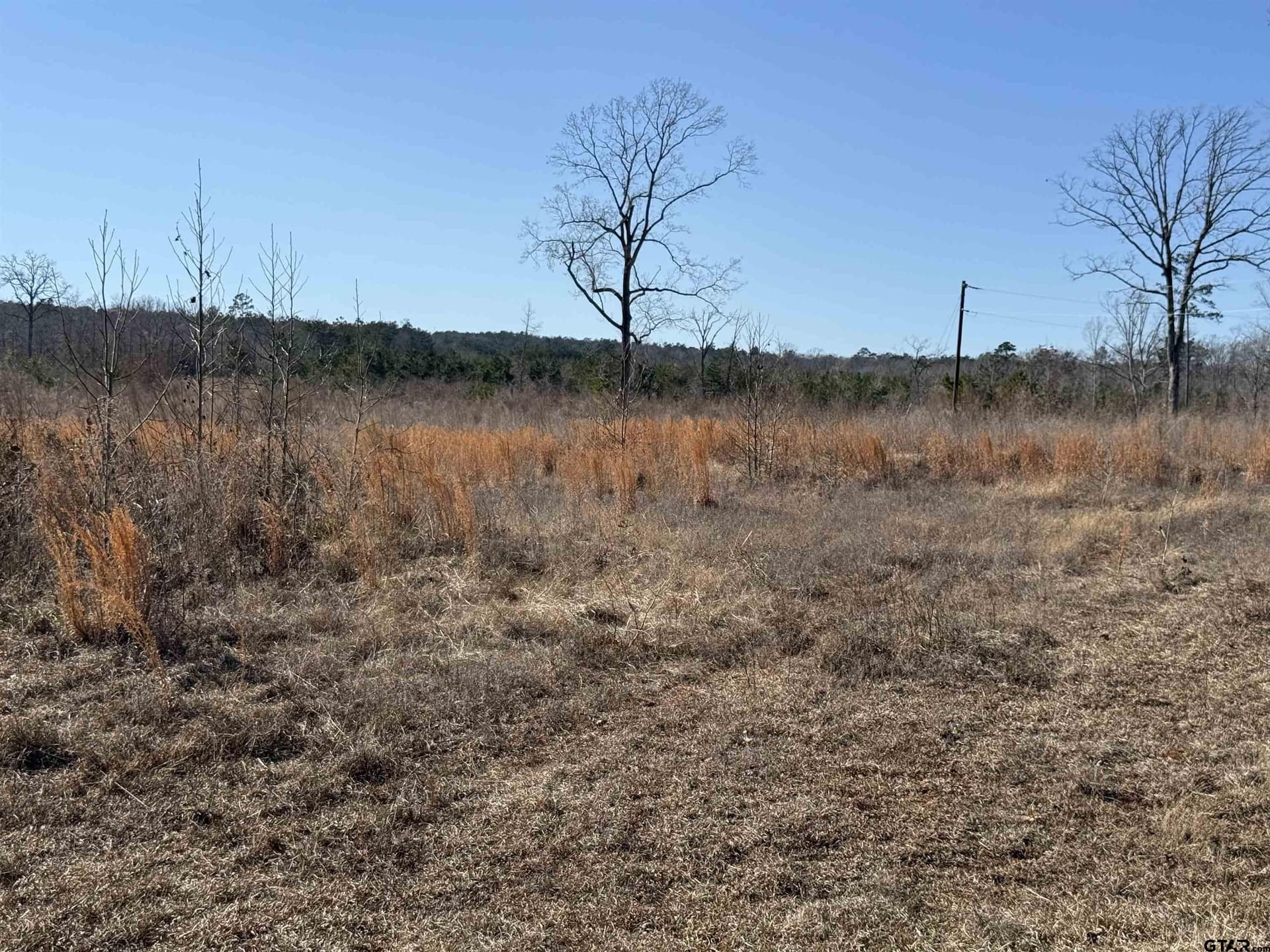 10 acres in Cherokee County - photo 13