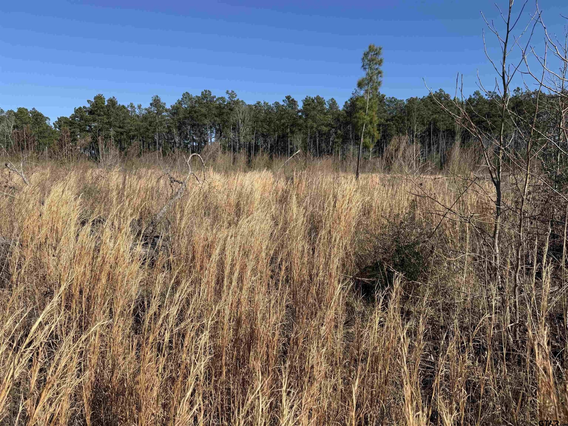 10 acres in Cherokee County - photo 3