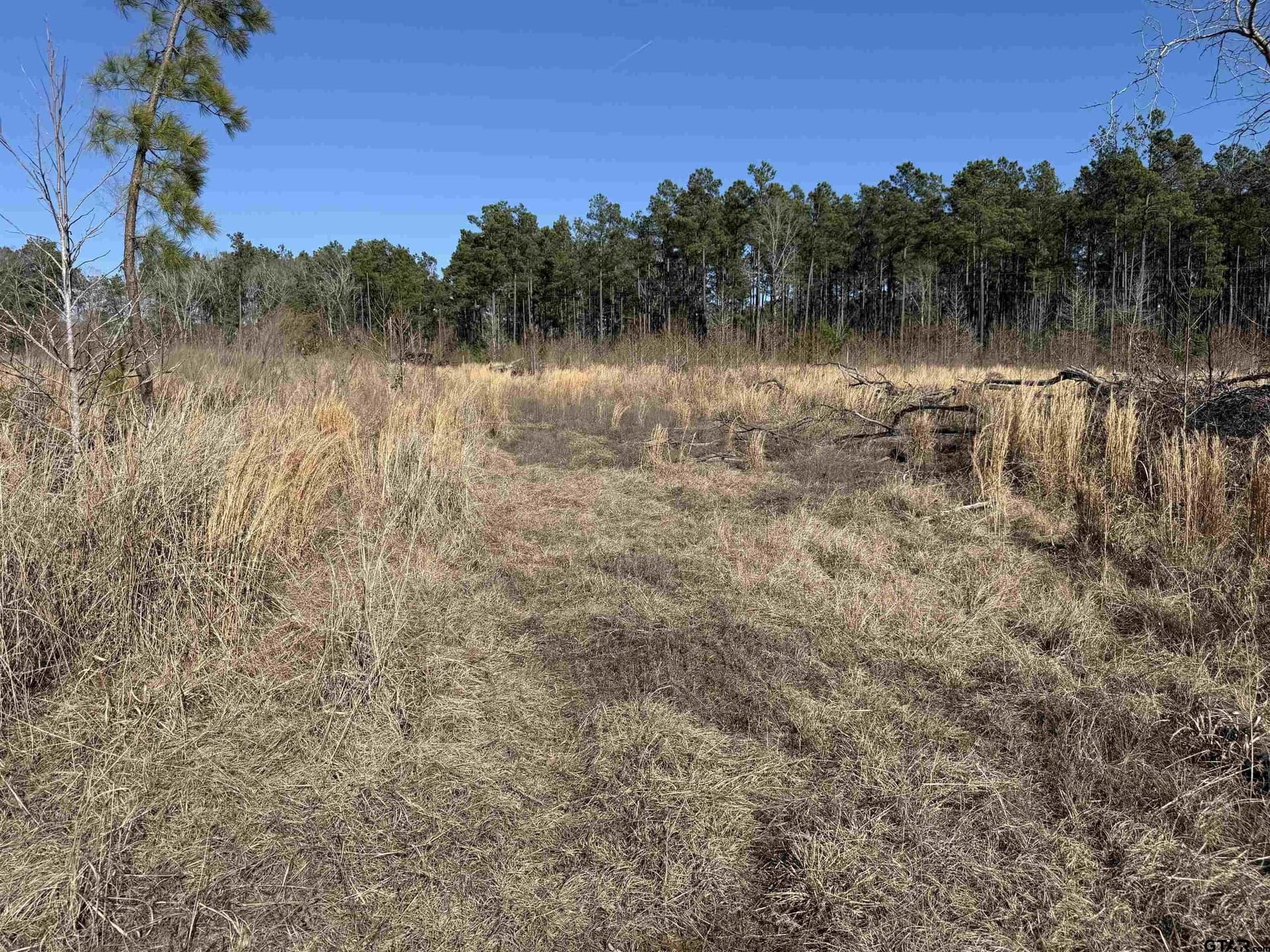 10 acres in Cherokee County - photo 21