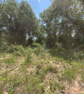 17.64 acres in Comanche County gallery image 3