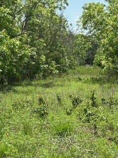 17.64 acres in Comanche County featured view