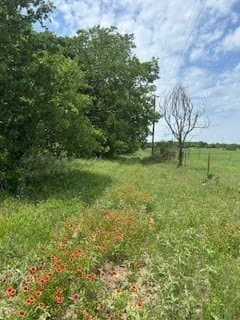 17.64 acres in Comanche County gallery image 4