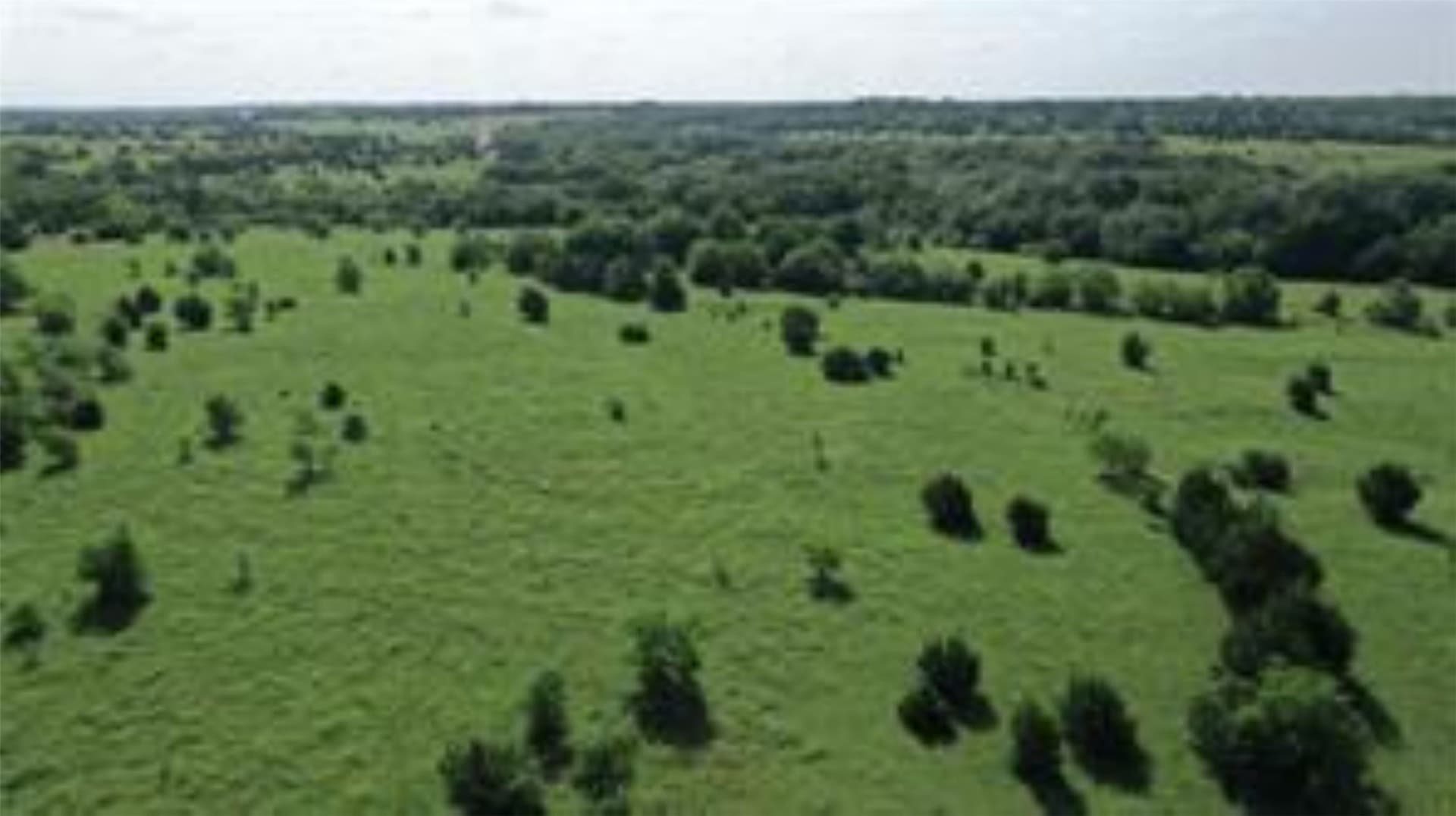22.49 acres in Collin County - photo 14
